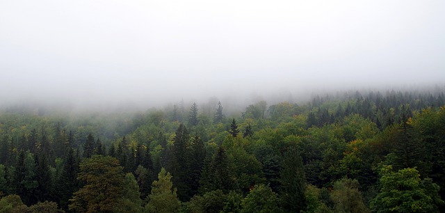 Jak ładnie zasłonić balkon? Jak ładnie zasłonić balkon?