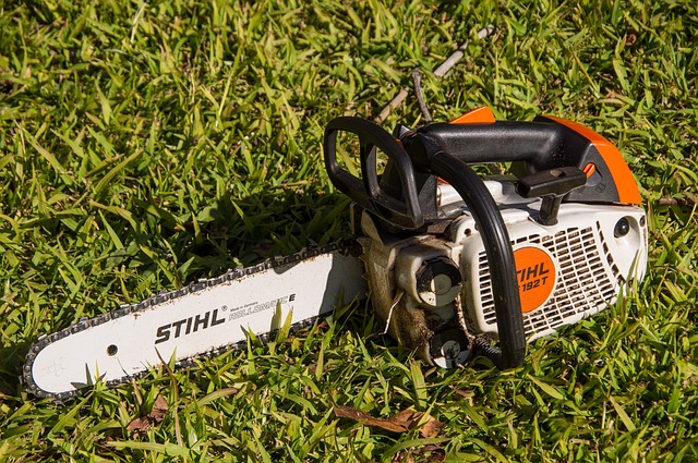 Jaka kosa Stihl do domu? Jaka kosa Stihl do domu?