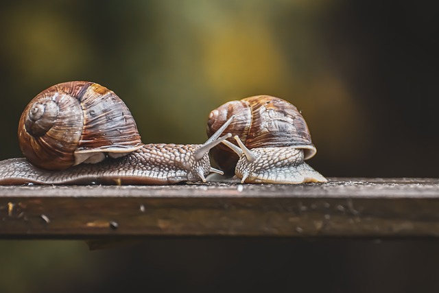 Jaki czujnik otwarcia drzwi WiFi? Jaki czujnik otwarcia drzwi WiFi?