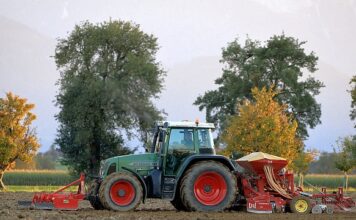 Jaki kupić siewnik do trawy?